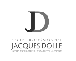 Bac professionnel Services Numériques, option Réseaux et Infrastructure Systèmes et Communication